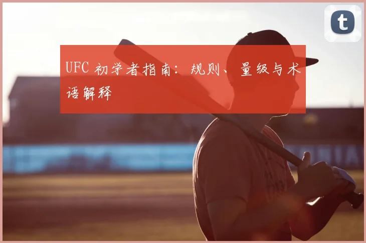UFC 初学者指南：规则、量级与术语解释